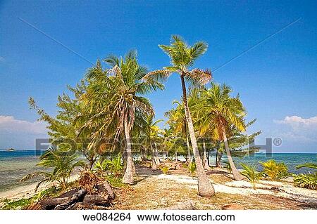 Water Caye, Bay Islands, Honduras View Large Photo Image Picture - Water Caye, Bay Islands, Honduras. Fotosearch