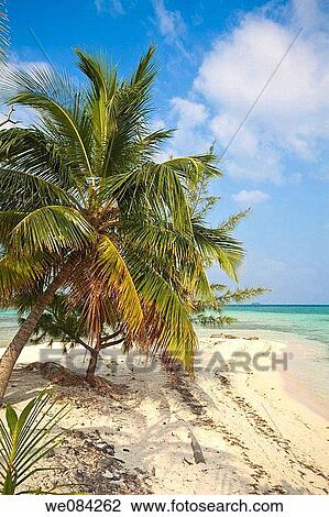 Water Caye, Bay Islands, Honduras View Large Photo Image Stock Image - Water Caye, Bay Islands, Honduras. Fotosearch