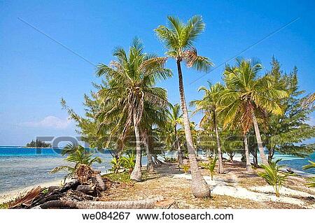 Water Caye, Bay Islands, Honduras View Large Photo Image Stock Photo - Water Caye, Bay Islands, Honduras. Fotosearch
