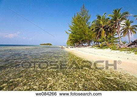 Water Caye, Bay Islands, Honduras View Large Photo Image Stock Photograph - Water Caye, Bay Islands, Honduras. Fotosearch