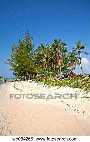 Stock Photography - Water Caye, Bay Islands, Honduras. Fotosearch