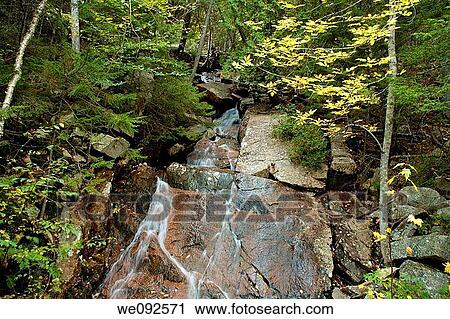 Waterfall, Carriage Road, Autumn Views, Acadia Nat Park, ME View Large Photo Image Stock Image - Waterfall, Carriage Road, Autumn Views, Acadia Nat Park, ME. Fotosearch