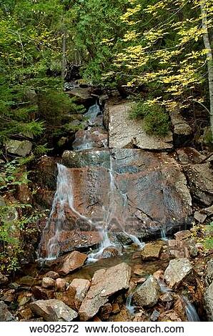 Waterfall, Carriage Road, Autumn Views, Acadia Nat Park, ME View Large Photo Image Stock Image - Waterfall, Carriage Road, Autumn Views, Acadia Nat Park, ME. Fotosearch