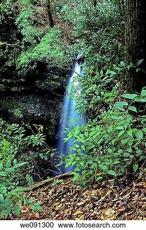 Waterfall, White Oak Sink, Great Smoky Mtns National Park, TN, USA View Large Photo Image Stock Image - Waterfall, White Oak Sink, Great Smoky Mtns National Park, TN, USA. Fotosearch