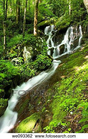 Waterfalls, Tremont, Great Smoky Mountains National Park, TN View Large Photo Image Stock Image - Waterfalls, Tremont, Great Smoky Mountains National Park, TN. Fotosearch