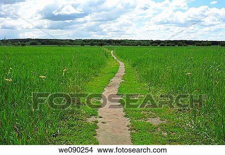Way through the field View Large Photo Image Picture - Way through the field. Fotosearch