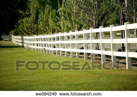 WHITE PICKET FENCE View Large Photo Image Stock Photo - WHITE PICKET FENCE. Fotosearch
