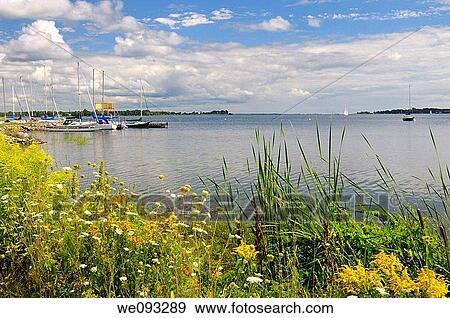 Wildflowers and sailboats at Gosport Marina on Presquile Bay Lake Ontario near Brighton View Large Photo Image Stock Photo - Wildflowers and sailboats at Gosport Marina on Presquile Bay Lake Ontario near Brighton. Fotosearch