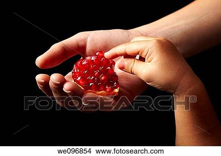Woman hand holding a red piece of pomegranate on dark background with child hand touching it View Large Photo Image Picture - Woman hand holding a red piece of pomegranate on dark background with child hand touching it. Fotosearch