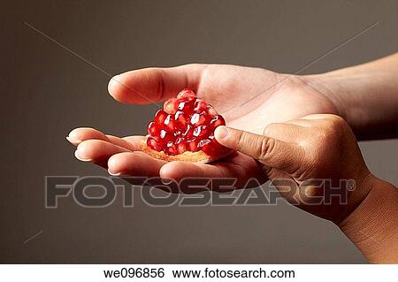 Woman hand holding a red piece of pomegranate on grey background with child hand touching it View Large Photo Image Stock Photograph - Woman hand holding a red piece of pomegranate on grey background with child hand touching it. Fotosearch