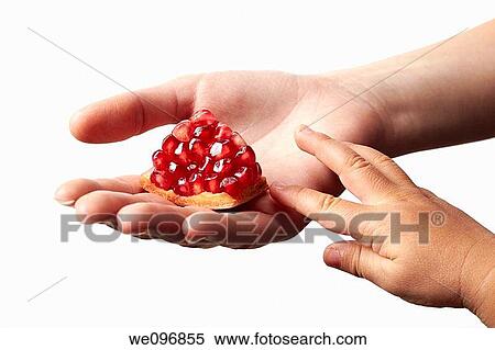 Woman hand holding a red piece of pomegranate on white background with child hand touching it View Large Photo Image Stock Photography - Woman hand holding a red piece of pomegranate on white background with child hand touching it. Fotosearch