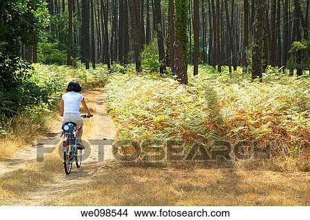 Woman mountain biking in france aquitaine landes forest View Large Photo Image Picture - Woman mountain biking in france aquitaine landes forest. Fotosearch