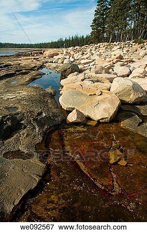Wonderland Trail, Acadia Nat Park, ME View Large Photo Image Stock Photo - Wonderland Trail, Acadia Nat Park, ME. Fotosearch