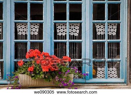 wooden window with flowers. Tr? guier (Breton: Landreger) is a port town in the C? tes-d? Armor department in Bretagne in northwestern France. View Large Photo Image Stock Photography - wooden window with flowers. Tr? guier (Breton: Landreger) is a port town in the C? tes-d? Armor department in Bretagne in northwestern France.. Fotosearch