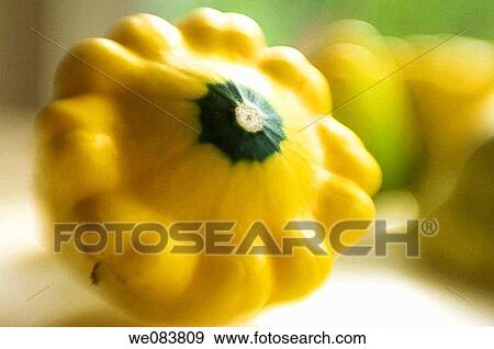 Yellow Pattison Squash on Cutting Board. Cucurbita pepo. View Large Photo Image Stock Photo - Yellow Pattison Squash on Cutting Board. Cucurbita pepo.. Fotosearch