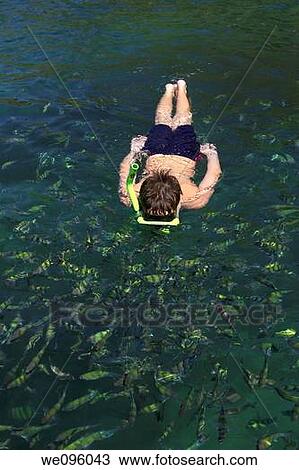Young Tourist Snorkelling, Krabi, Thailand View Large Photo Image Stock Image - Young Tourist Snorkelling, Krabi, Thailand. Fotosearch