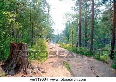 Picture - Arshan, Tunkinsky District, Republic of Buryatia, Siberia, Russian Federation, Sayan Mountains. Fotosearch