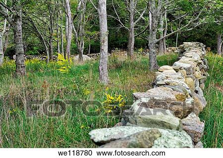 Field and stone fence, Chilmark, Martha´s Vineyard, Massachusetts,, USA View Large Photo Image Stock Image - Field and stone fence, Chilmark, Martha´s Vineyard, Massachusetts,, USA. Fotosearch