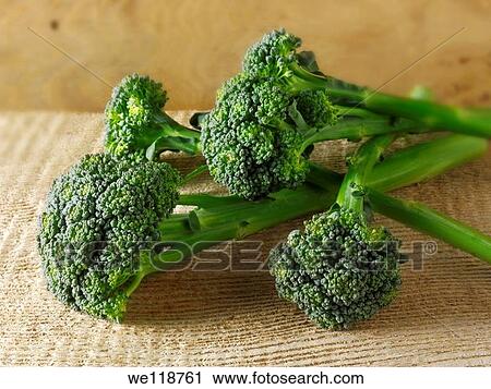 Fresh broccoli heads View Large Photo Image Stock Image - Fresh broccoli heads. Fotosearch