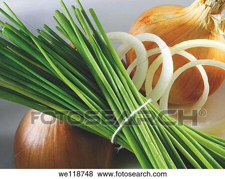 Fresh Chives & Onions View Large Photo Image Stock Photo - Fresh Chives & Onions. Fotosearch
