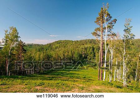 Russian landscape Siberia, Russian Federation View Large Photo Image Stock Photograph - Russian landscape Siberia, Russian Federation. Fotosearch