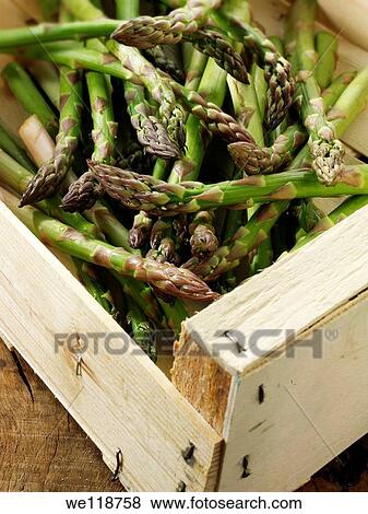 Stock photos of a bunch of fresh English asparagus spears Funky stock photos images of English Asparagus View Large Photo Image Stock Photo - Stock photos of a bunch of fresh English asparagus spears Funky stock photos images of English Asparagus. Fotosearch