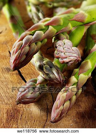 Stock photos of a bunch of fresh English asparagus spears Funky stock photos images View Large Photo Image Stock Photograph - Stock photos of a bunch of fresh English asparagus spears Funky stock photos images. Fotosearch