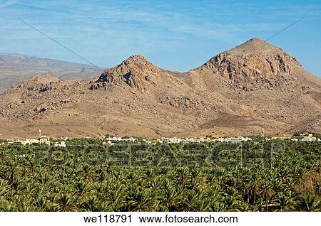 The town of Al Hamra located between a green oasis with date palm plantations and the barren rock sites of the Jebel Akhdar mountain, Sultanate of Oman View Large Photo Image Stock Image - The town of Al Hamra located between a green oasis with date palm plantations and the barren rock sites of the Jebel Akhdar mountain, Sultanate of Oman. Fotosearch