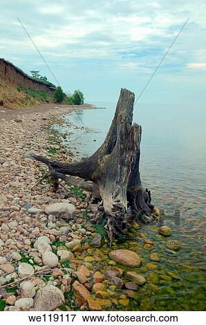 Bolshiye Koty big Koty, Lake Baikal, Irkutsk region, Siberia, Russian Federation View Large Photo Image Stock Photo - Bolshiye Koty big Koty, Lake Baikal, Irkutsk region, Siberia, Russian Federation. Fotosearch