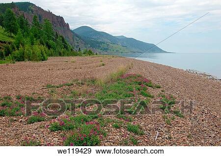 Stock Photo - Bolshiye Koty big Koty, Lake Baikal, Irkutsk region, Siberia, Russian Federation. Fotosearch