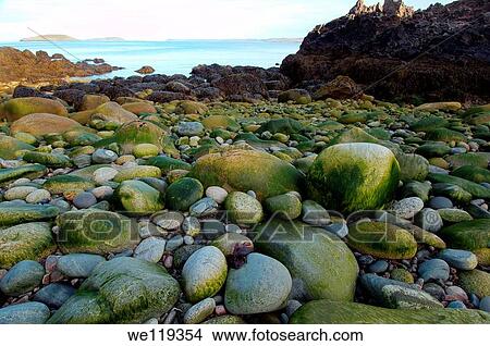 Coastal landscape, Barents Sea, Russia, Arctic View Large Photo Image Picture - Coastal landscape, Barents Sea, Russia, Arctic. Fotosearch