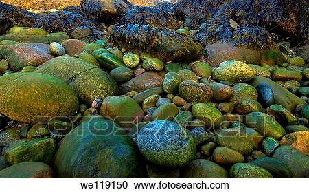 Stock Image - Coastal landscape, Barents Sea, Russia, Arctic. Fotosearch