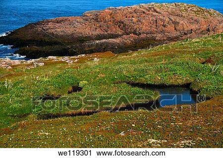 Coastal landscape, Barents Sea, Russia, Arctic View Large Photo Image Stock Image - Coastal landscape, Barents Sea, Russia, Arctic. Fotosearch