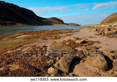 Coastal landscape, Barents Sea, Russia, Arctic View Large Photo Image Stock Image - Coastal landscape, Barents Sea, Russia, Arctic. Fotosearch