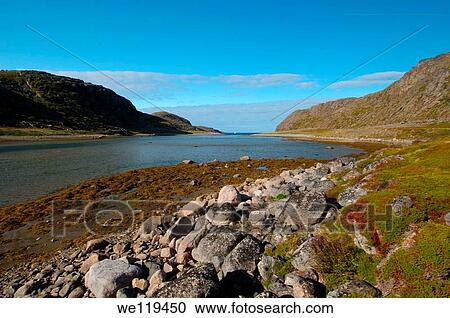 Coastal landscape, Barents Sea, Russia, Arctic View Large Photo Image Stock Image - Coastal landscape, Barents Sea, Russia, Arctic. Fotosearch