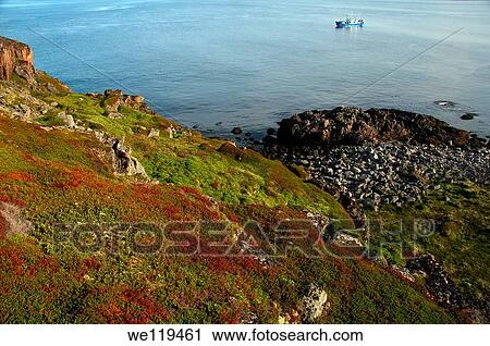 Coastal landscape, Barents Sea, Russia, Arctic View Large Photo Image Stock Image - Coastal landscape, Barents Sea, Russia, Arctic. Fotosearch