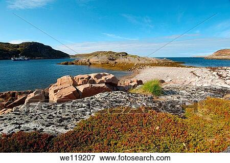 Coastal landscape, Barents Sea, Russia, Arctic View Large Photo Image Stock Photo - Coastal landscape, Barents Sea, Russia, Arctic. Fotosearch