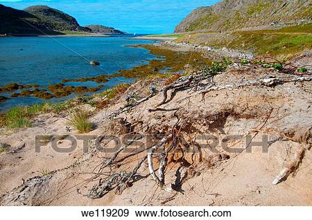 Coastal landscape, Barents Sea, Russia, Arctic View Large Photo Image Stock Photo - Coastal landscape, Barents Sea, Russia, Arctic. Fotosearch