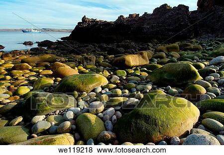 Coastal landscape, Barents Sea, Russia, Arctic View Large Photo Image Stock Photo - Coastal landscape, Barents Sea, Russia, Arctic. Fotosearch