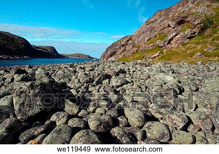 Coastal landscape, Barents Sea, Russia, Arctic View Large Photo Image Stock Photo - Coastal landscape, Barents Sea, Russia, Arctic. Fotosearch