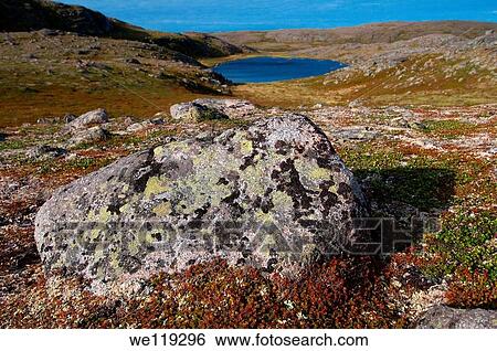Coastal landscape, Barents Sea, Russia, Arctic View Large Photo Image Stock Photograph - Coastal landscape, Barents Sea, Russia, Arctic. Fotosearch