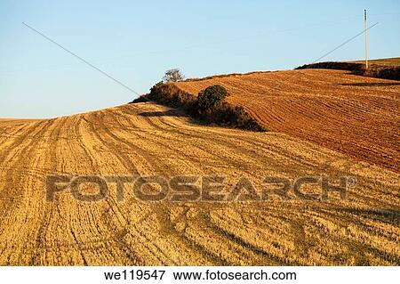 fields in La Rioja, Spain, Europe View Large Photo Image Stock Photo - fields in La Rioja, Spain, Europe. Fotosearch