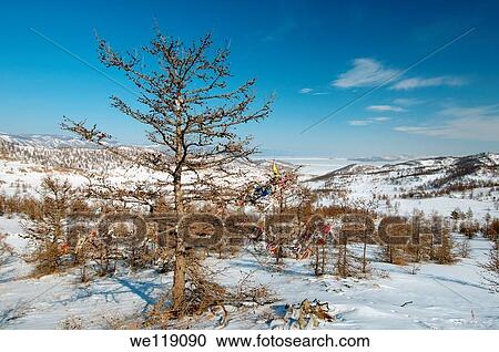 landscape, Olkhon island, Lake Baikal, Siberia, Russia, Eurasia View Large Photo Image Stock Image - landscape, Olkhon island, Lake Baikal, Siberia, Russia, Eurasia. Fotosearch