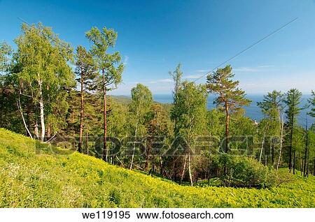 Landscape, settlement Listvyanka, Lake Baikal, Irkutsk region, Siberia, Russian Federation View Large Photo Image Stock Photography - Landscape, settlement Listvyanka, Lake Baikal, Irkutsk region, Siberia, Russian Federation. Fotosearch