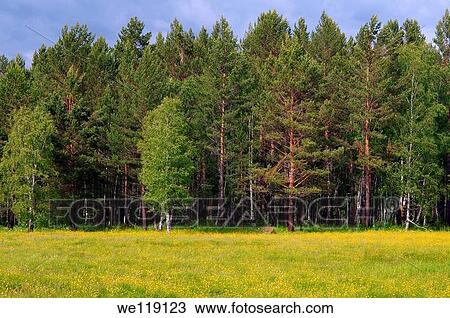 Russian landscape Siberia, Russian Federation View Large Photo Image Stock Image - Russian landscape Siberia, Russian Federation. Fotosearch