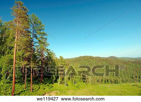 Russian landscape Siberia, Russian Federation View Large Photo Image Stock Photo - Russian landscape Siberia, Russian Federation. Fotosearch