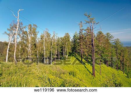 Stock Photograph - Russian landscape Siberia, Russian Federation. Fotosearch