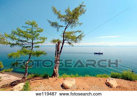 Tree of desires, settlement Listvyanka, Lake Baikal, Irkutsk region, Siberia, Russian Federation View Large Photo Image Stock Photo - Tree of desires, settlement Listvyanka, Lake Baikal, Irkutsk region, Siberia, Russian Federation. Fotosearch