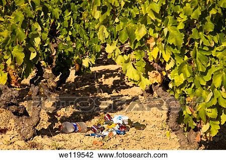Vineyards in La Rioja Alava, Rioja and Basque Country Spain, Europe View Large Photo Image Stock Image - Vineyards in La Rioja Alava, Rioja and Basque Country Spain, Europe. Fotosearch