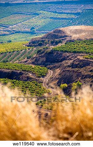 Stock Image - Vineyards in La Rioja, Spain, Europe. Fotosearch